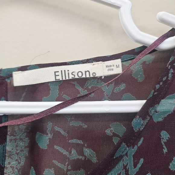 Ellison Sheer Blouse - Picture 4 of 9